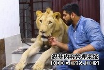 巴基斯坦兄弟飼養雄獅帶其駕車出游來自巴基斯坦卡拉奇的兩兄弟哈姆撒·侯賽因(Hamzah)和哈桑·侯賽因(Hassan Hussain)有著一位非傳統室友：一頭名叫辛巴(Simba)的成年非洲雄獅。這對熱愛動物的兄弟甚至還開車帶辛巴一起旅行。【詳細】國際新聞︱國際熱圖