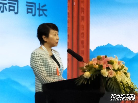 2019中国国际服务贸易交易会暨海外华侨华人中医药大会隆重召开