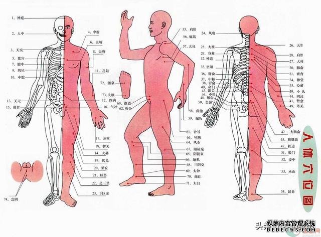 穴位就是药！18个对人体大补的穴位，一个穴位一张图，5分钟就懂