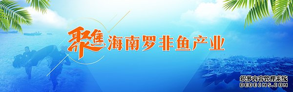 信心满满 海南罗非鱼高调进军国内市场