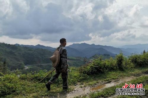 杨天才走在巡界路上。张旭 摄