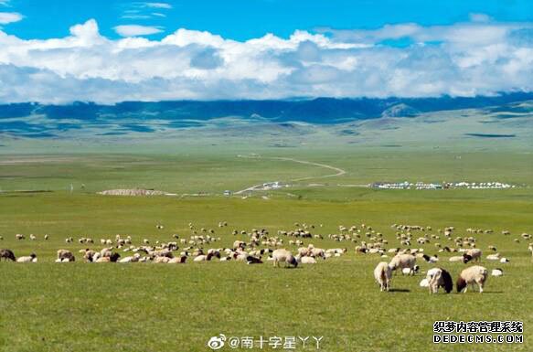 新疆是个好地方丨达人西游：巴音布鲁克，犹如梦幻艺术馆