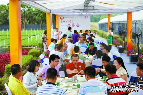 面对湾区机遇、政策红利 高明如何发力美食经济