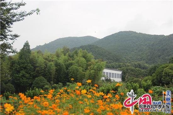 溧阳白露山第八届蓝莓采摘节开釆暨健康新饮品发布