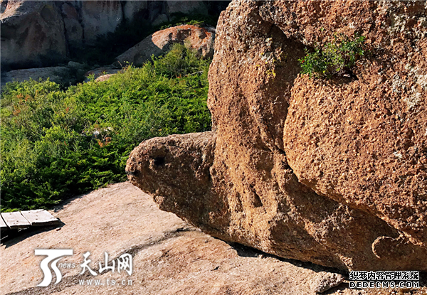 新疆是个好地方｜达人西游：新疆怪石峪