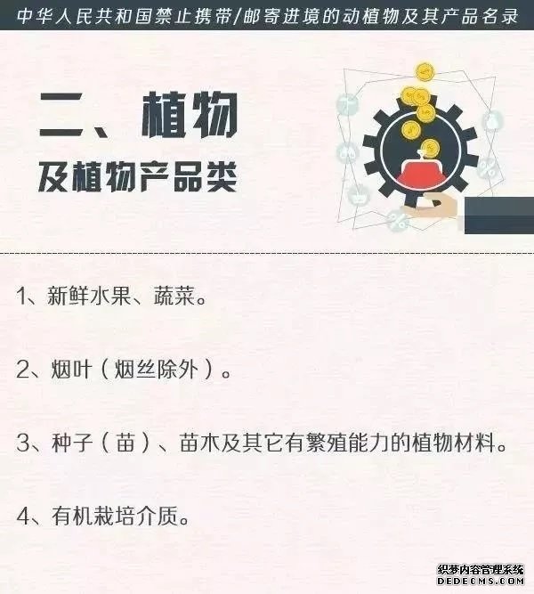 暑期出入境游，“四条锦囊”需了解