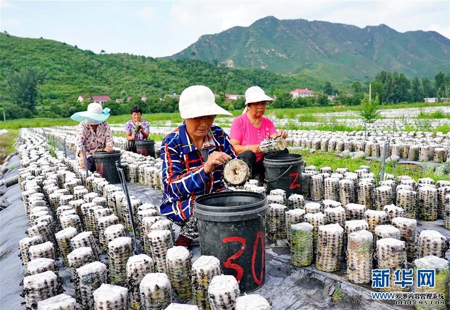 新疆哈密：天山美景入画来