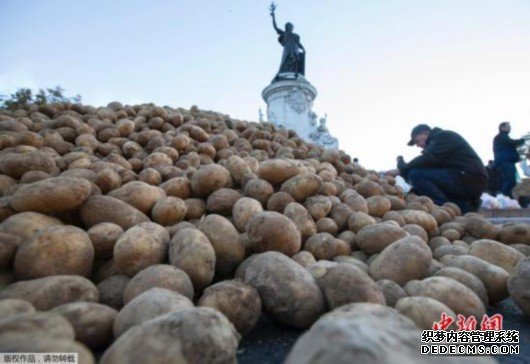 气候变化影响植物生长 茶、咖啡和巧克力未来或消失？