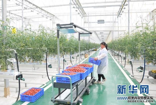 贵州：深山扶贫安置点配上进口温室大棚