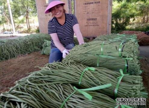 以互联网速度扶贫 美菜网携手国开行采购河北巨鹿农产品