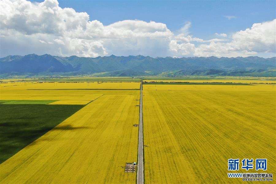 桂林上半年接待游客量突破6000万人次