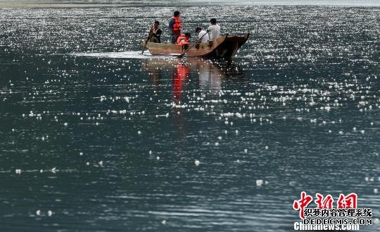 五彩猪槽船扮靓泸沽湖 受国内外游客青睐