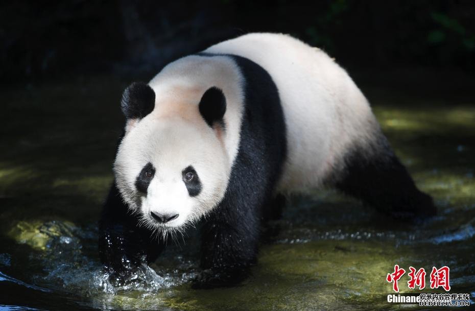 美丽乌逊嘎查 文明实践建设和谐乡村