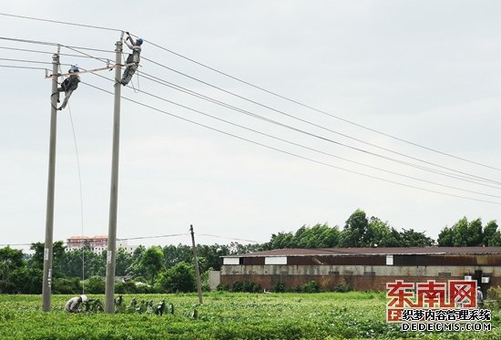 南安市供电公司开展台风前线路特巡 保障电网安