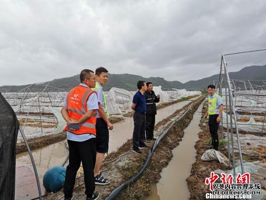 各行各业的台风“守望者”：“闻风而动”“逆风而行”