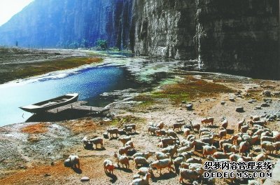 北京房山东关上村：退羊8000只 增绿8000亩（组图