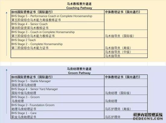 BHS考试丨国际马术职业晋升通道