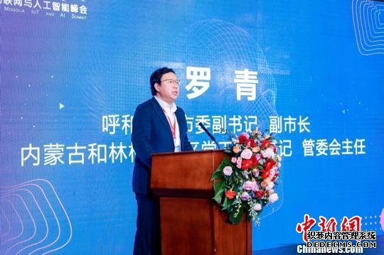 图为呼和浩特市副市长、和林格尔新区管委会主任罗青致辞。主办方供图