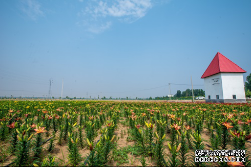 2019汶上白石第二届昙山核桃节8月24日盛大开幕