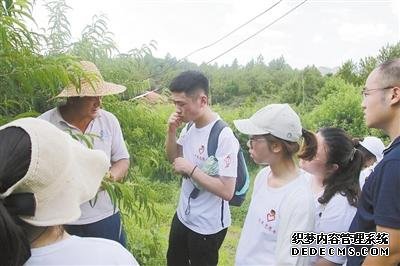 抖音直销捧红鹰嘴桃 “互联网+农产品”助力精准