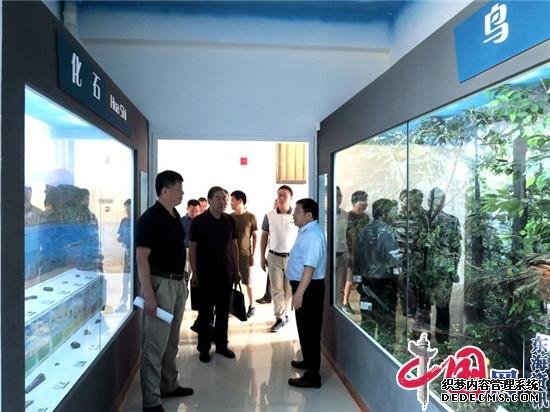 倾力教师发展 促进更好成长——洪泽实小创建省级教师发展示范基地校接收现场评估