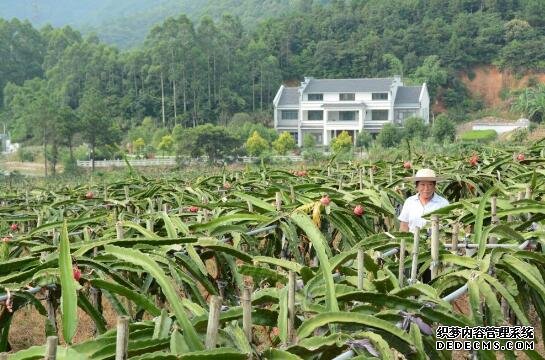 总书记关心的百姓身边事｜大污染变身“大宝藏”：治理畜禽粪污，他们这样干！