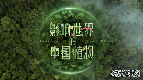 爱奇艺将全网独播首部植物类4K纪录片《影响世界