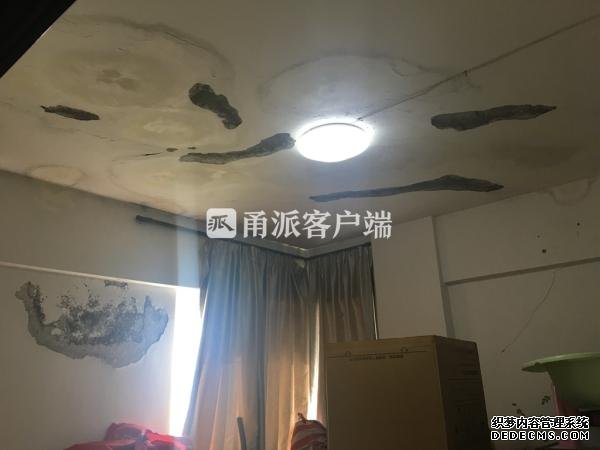 房子漏水 车库能养鱼！钱湖景苑湖滨一号业主心