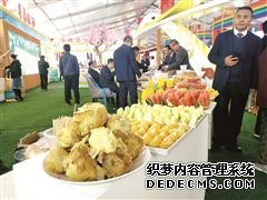 农展会上特色美食“味儿浓”