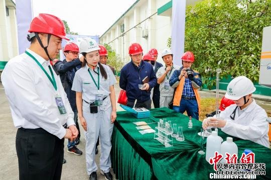 专业质检人员对粮食样本进行检验 田耀平 摄