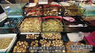 外国人拍中国美食，必打卡四川