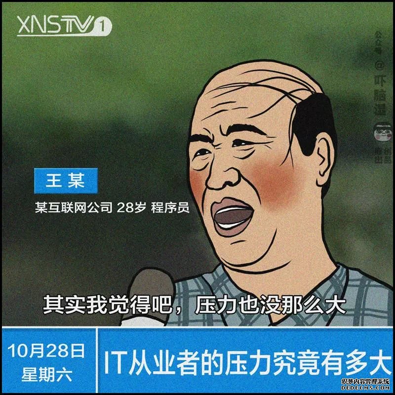 互联网公司刻板印象合集：程序员，个个秃头吗？