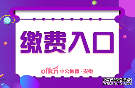 2019合肥市庐阳区事业单位招聘116人缴费入口今日