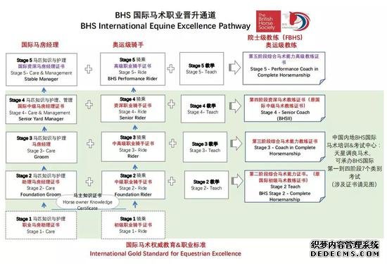 BHS考试丨28国通行马术执照即将开考！