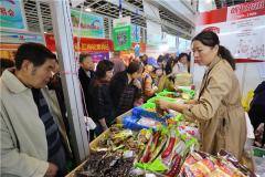 各地美食齐聚 第十九届南