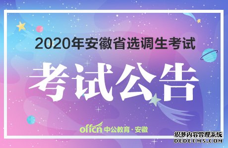 安徽人事考试网 2020安徽省选调生考试公告及职位