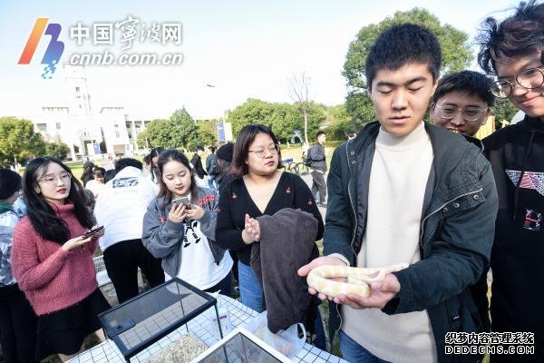 又到考试季 宁波一高校牵来萌宠给老师学生减压