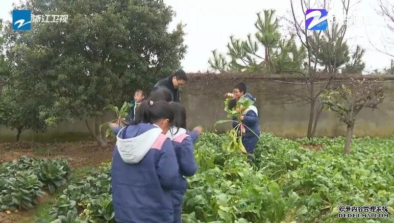 浙江：互联网＋义务教育 让农村孩子共享优质教育