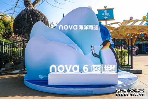 莱茵5G认证+6频段全网通 华为nova6 5G成为年轻人的