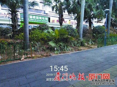 一张电子区域图 精细管理全智能！“数字湖里”平台结案率、满意率均达99.6%以上