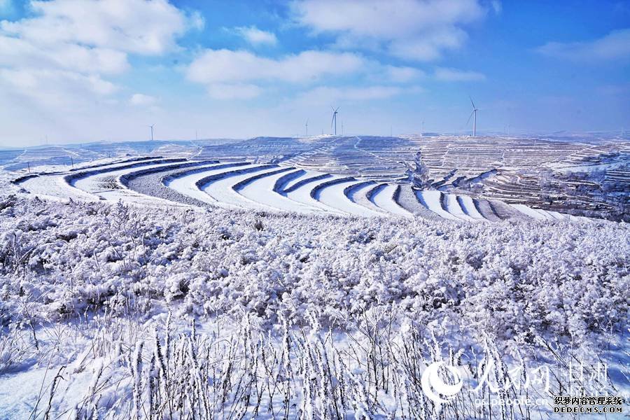 華嶺霧凇，雪掩仙蹤。（楊進財 攝）