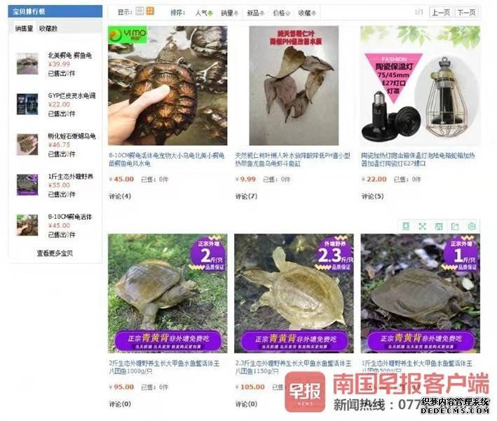 严查！南宁一公司在网上销售鳄鱼肉等＂野味＂(图