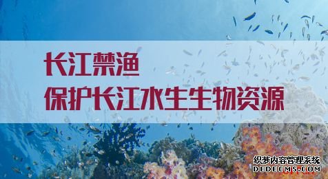 长江禁渔 保护长江水生生物资源