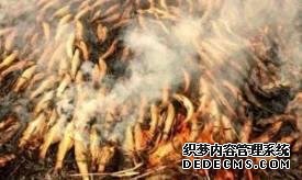 被誉为印度顶级美食，号称可以打败任何中国美食，看完我醉了