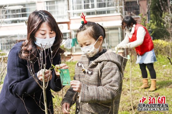 家长带着孩子参与植树活动。