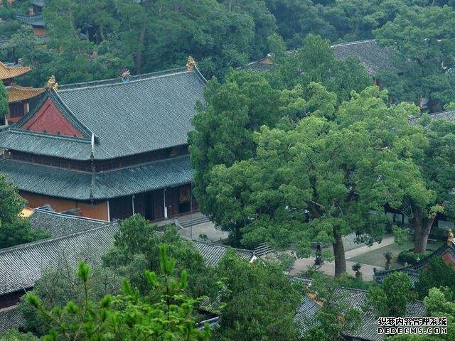 国内“零差评”5A景区，门票免费车票仅15元，小资旅行看过来