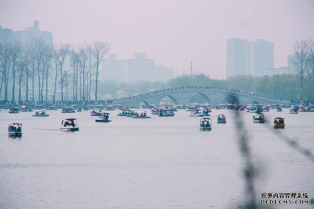 赏花季，北京这个樱花盛放的公园，吸引游客无数