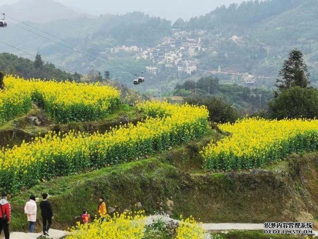 你好，我是梨白桃红、油菜花黄满山野的婺源