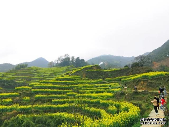 你好，我是梨白桃红、油菜花黄满山野的婺源