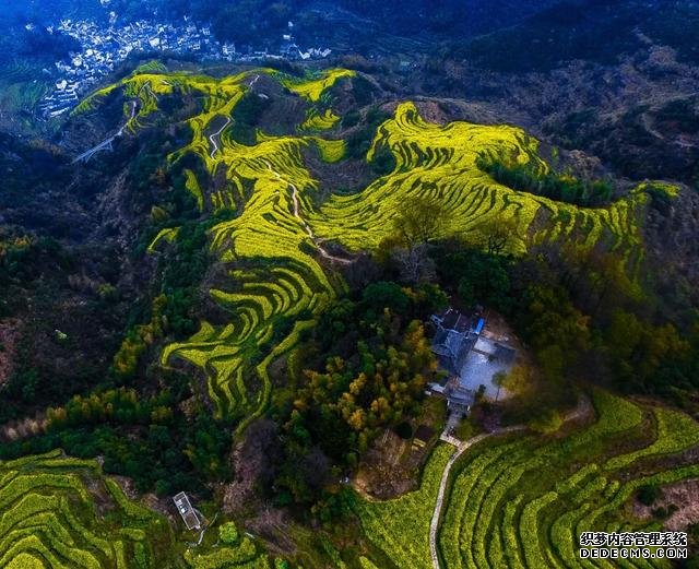 你好，我是梨白桃红、油菜花黄满山野的婺源